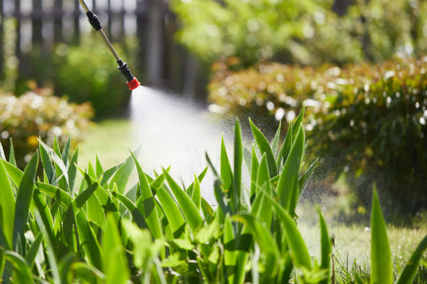 24/7 Emergency Mosquito Control experts in California, PA