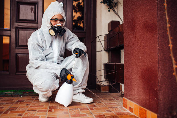 Reliable Mosquito Control contractor in California, PA by Show Me Pest Control