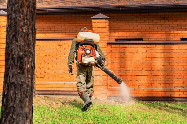 Top rated local Mosquito Control specialists in California, PA